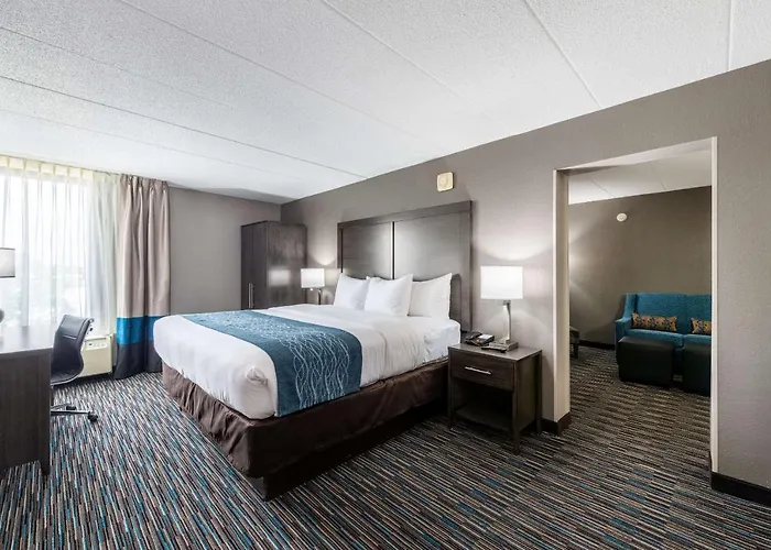 Inn Comfort Chicago - O'hare Airport Schaumburg