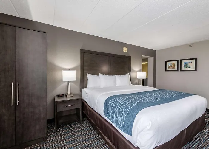 Comfort Chicago - O'hare Airport 3* Schaumburg