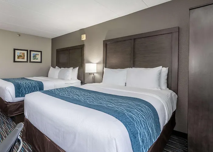 Comfort Chicago - O'hare Airport Inn 3*