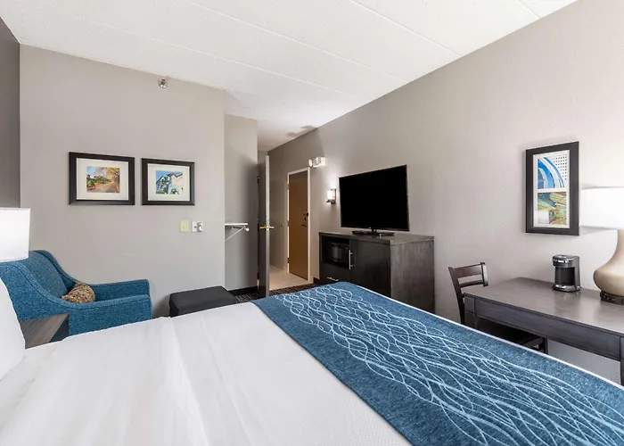 Inn Comfort Chicago - O'hare Airport