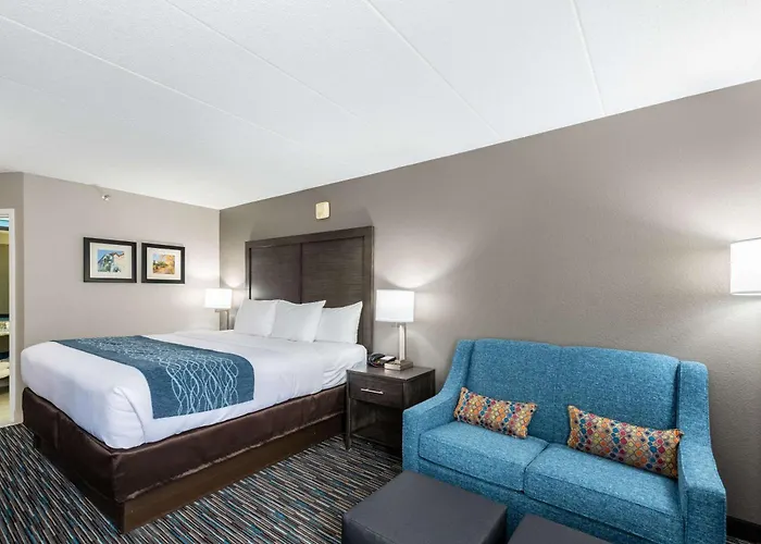 Comfort Chicago - O'hare Airport 3*