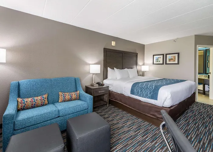 Inn Comfort Chicago - O'hare Airport Schaumburg