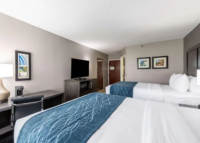 Inn Comfort Chicago - O'hare Airport Schaumburg