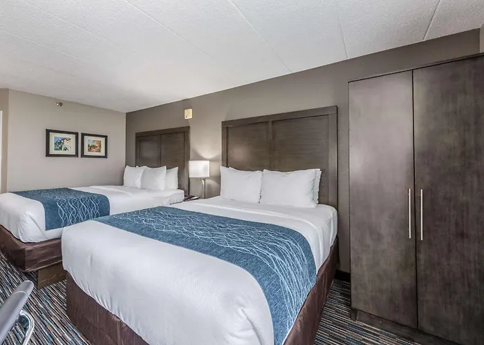 Comfort Chicago - O'hare Airport Inn Schaumburg