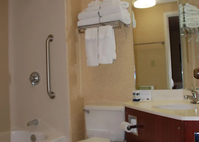 Comfort Chicago - O'hare Airport Inn 3*