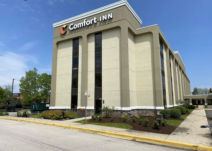 Comfort Chicago - O'hare Airport Inn