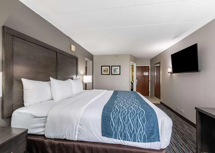 Inn Comfort Chicago - O'hare Airport 3*