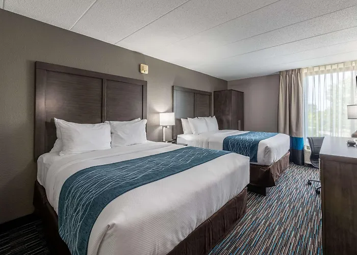 Comfort Chicago - O'hare Airport Inn Schaumburg