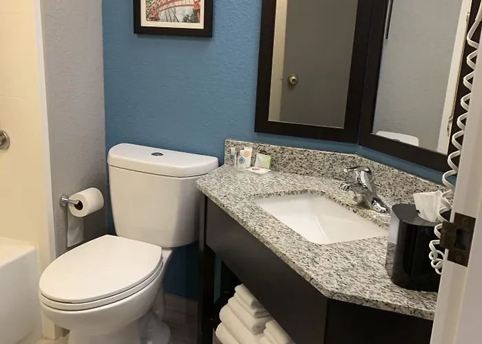 Comfort Chicago - O'hare Airport Inn 3*