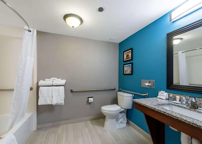 Comfort Chicago - O'hare Airport Inn 3*