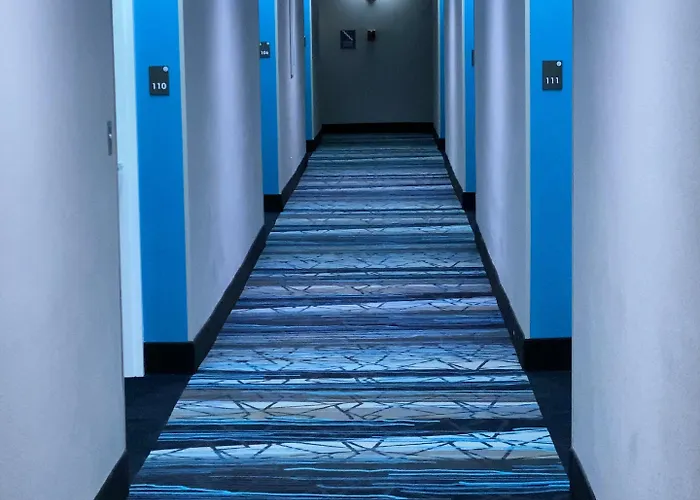 Comfort Chicago - O'hare Airport Inn Schaumburg